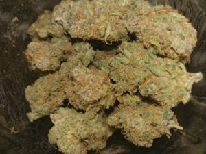Ace of Spades