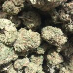 Godfather OG