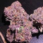 Purple Haze