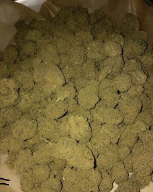 Super Sour Diesel