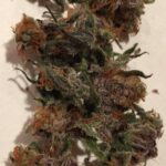 Alaskan Thunder Fuck