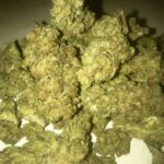 Buy XXX OG KUSH